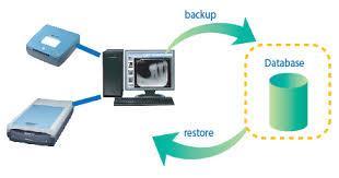 BACKUP AND RESTORE OF THE SERVERS Server backups are managed according to local SOP everyday and automatically. QUALIFIED INFRASTRUCTURE composed either by physical servers and virtual servers.