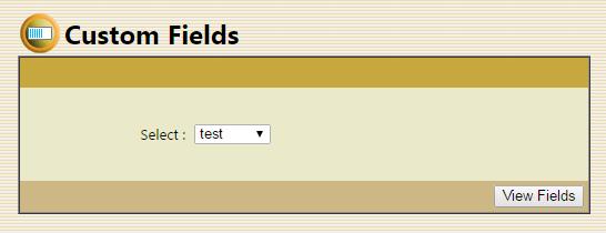 2.4. Custom Field This submenu allows to add new field to a process or allows to import field