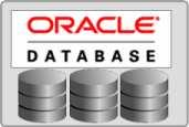 Oracle In-Memory Database Cache Client/server Applications Client/ Server Tx Logs Checkpoints Server A Direct-linked Applications In-Memory Cache tables Cache refresh REP Server B Direct-linked