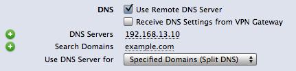 Setting up Remote DNS Manually in VPN Tracker If you cannot configure your SonicWALL to distribute DNS settings through DHCP, it is also possible to manually configure a remote DNS server in VPN