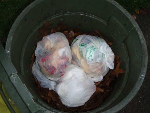 Challenges Contamination in organics Plastic bags Plastic food containers Participation variations Bi-weekly organics collection