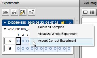 You can remove this icon from the experiment (for example, because you could successfully reprocess the missing runs).