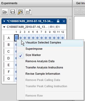 Alternatively, samples can be added to the views through the sample context menu of the experiment explorer. Use the Visualize Selected Samples option to add the selected samples to the views.