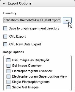 Export options The report/export settings are divided into two groups: Report Options containing