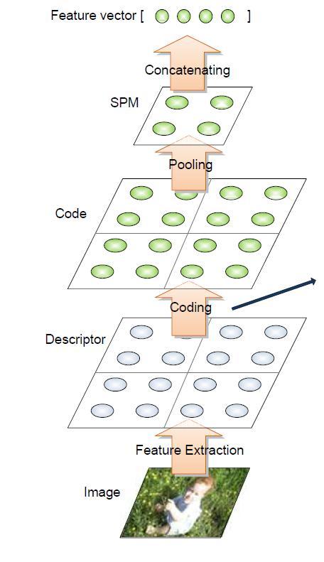 Sparse Coding for Image Classification Feature descriptor obtained from dense SIFT and BoF
