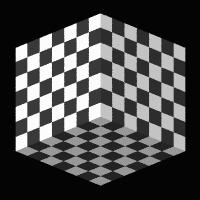 illusion Why does an image of a symmetric