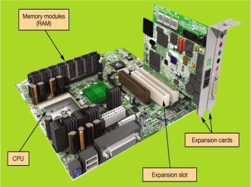 CPU RAM (S+T) Expansion cards and slots Built-in components The Motherboard Expansion Cards Add functions Provide new connections for peripheral devices Common types: Sound Modem (telephone) Video