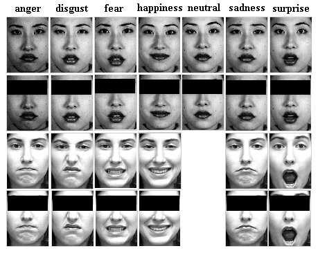Fig. 1. An example of one expresser from JAFFE database and one from Cohn-Kanade database, respectively, posing 7 facial expressions (emotions) and the corresponding eyes occluded region. 3.