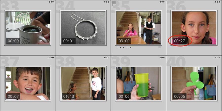 Video Files Lightroom can catalog and display video files as well as still photos.