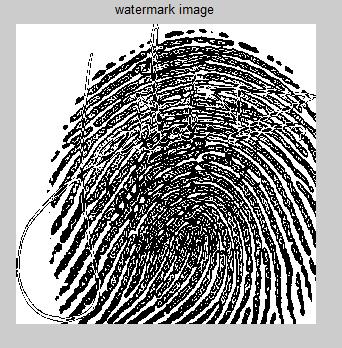 1897 fingerprint&signature combined fp &sign 51.6110 0.4487 watermark Bit0 substitution 51.3626 0.4751 Bit 1 substitution 51.3166 0.4802 Bit 2 substitution 51.2266 0.4903 Bit3 substitution 51.0544 0.