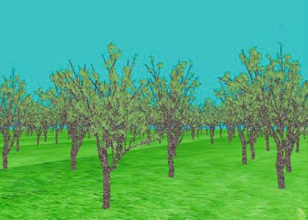 87 Real-Time Rendering of Forest Scenes Based on LOD 715 Fig. 87.5 The forest scene rendering effect Fig. 87.6 Rendering efficiency comparisons From the figure, we can see why we render only a few trees.
