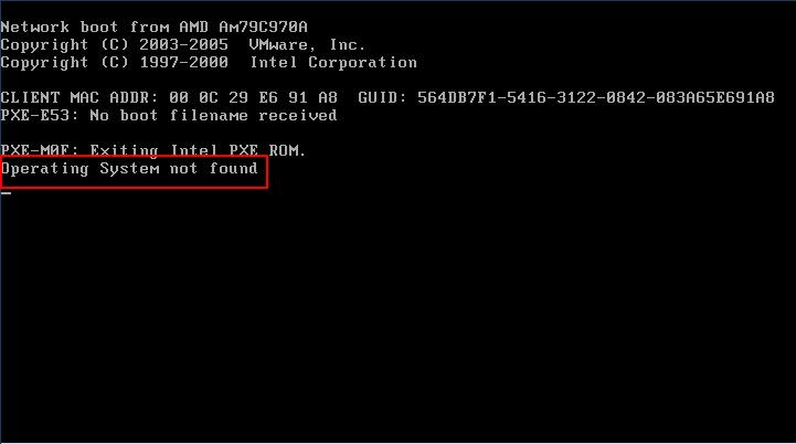 hard disk, including the OS, got removed, a message will appear saying that no OS is found in the PC.