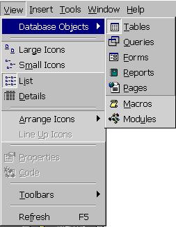 Tables, queries, etc., within the database can be viewed as Large icons, Small icons, List or Details. The standard view is List as evident from the menu on the right.