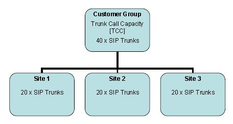 LICENSING OVERVIEW SIP Trunks are allocated as a Trunk Call Capacity [TCC] at the customer Group level. This is the total numbers of SIP Trunks/channels that can be used by the customer.