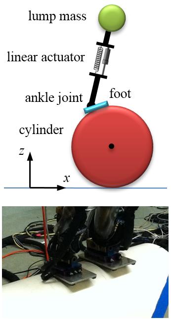 (a) (b) Figure 2.2. Simplified dynamics model for a biped robot with (a) flat feet or (b) geta feet on a rolling cylinder in the sagittal plane.