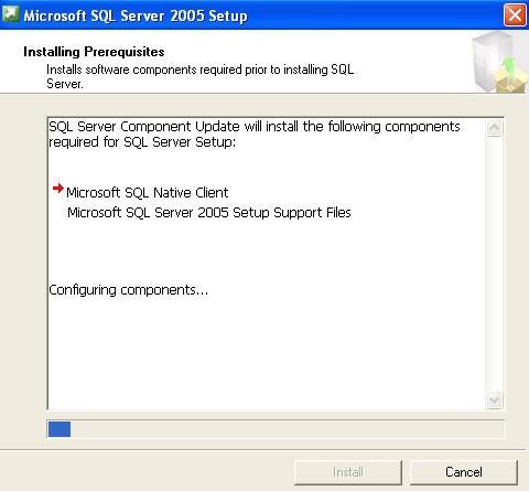 9) The Microsoft SQL Server 2005 Setup screen displays.
