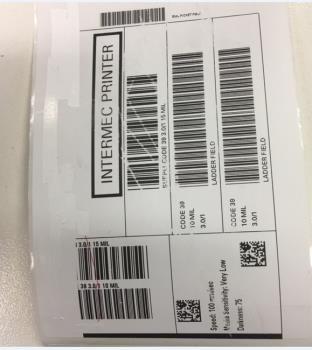 PM43 Intermec Label Printer 1. Basic Settings Murray Goulburn has selected the Intermec PM43 300dpi printer for the printing of labels from the new SAP system.
