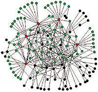 degree k of nodes Random graph: P(k) = binomial distribution