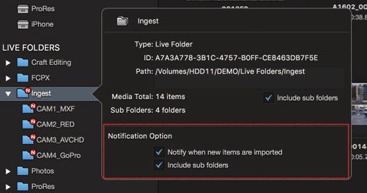 This means you no longer need to manually notify your collaborators each and every time a new file is added.