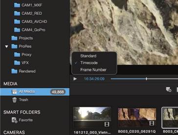 Choose one of the three viewing options: Standard, Timecode or Frame number. 3.