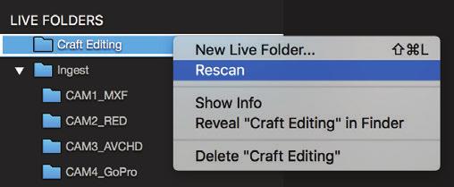 After all Live Folders have been scanned, the Auto Scan will begin after the premeditated interval time.