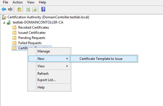 13. On the Certificate Authority window, in the left pane, expand