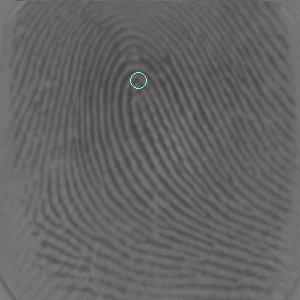 Chapter 3 Fingerprint Feature Extraction Once the fingerprint image has been enhanced, singularities and minutiae features can be extracted.