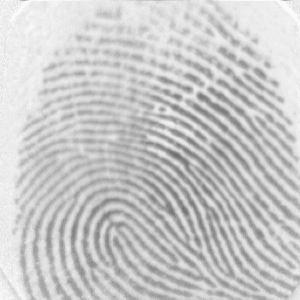 The first # defines the fingerprint set of 8 images, and the second # defines the image index within the