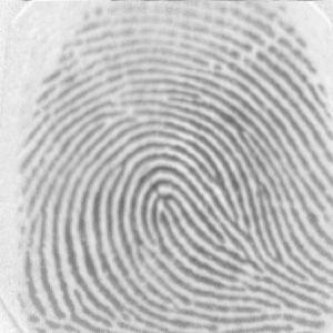 fingerprint image 8.