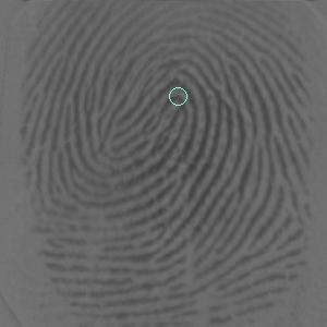 7 Final Stitched Fingerprint Sample A