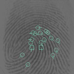 be properly aligned using the fingerprint