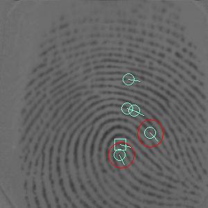 If such an enhancement is desired, it must take into account the validity of the fingerprint core identification process.