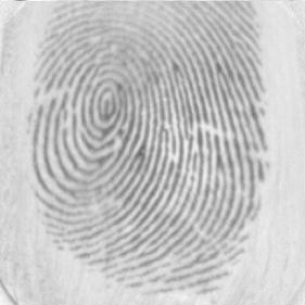 17_5 17_6 Figure A.2 Fingerprint Set DB1 A 17 17_5_6 Table A.