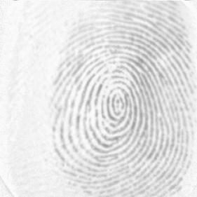 17_5_6 49 19_1 19_5 19_1_5 Figure A.3 Fingerprint Set DB1 A 19a Table A.