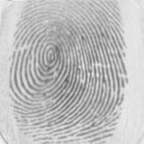 4 Minutiae Count Fingerprint Set DB1 A 19b