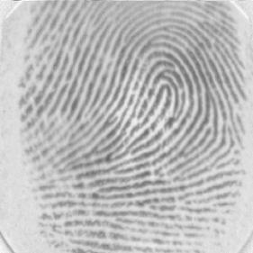 6 Minutiae Count Fingerprint Set DB1 A 24a Image Minutiae 24_7 9