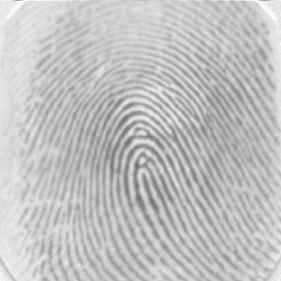 30_7 30_1 Figure A.9 Fingerprint Set DB1 A 30b 30_7_1 Table A.