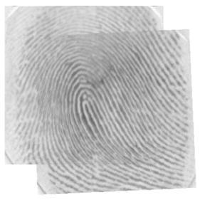 30_7_1 32 30_8 30_5 30_8_5 Figure A.10 Fingerprint Set DB1 A 30c Table A.