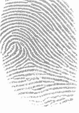 11 Minutiae Count Fingerprint Set