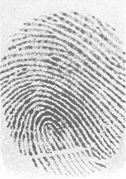 12 Minutiae Count Fingerprint Set DB2