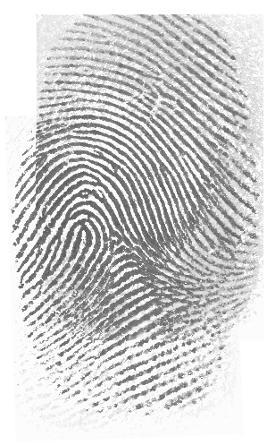 33_6 33_3 Figure A.15 Fingerprint Set DB2 A 33b 33_6_3 Table A.