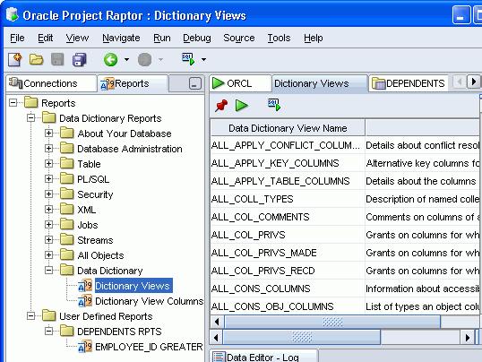 Reporting Suite of Reports Data Dictionary DBA
