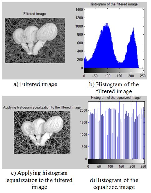 where L is the total number of possible grey levels (such as 255 for 8 bit depth), s k is the grey conversion value for a better contrast image. Figure 4(a) shows filtered image, Fig.