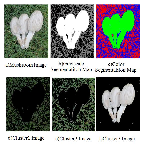 Figure 6b) shows the grayscale segmentation map image that is stored in grayscale variable after running Algorithm-1.