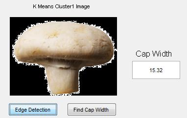 Pixel value is then multiplied with preset calibration parameter (CP) to find the cap width in cm. In order for cap width to be measured by the software image must contain only one mushroom.