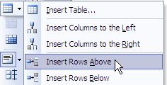 Click the arrow next to the Insert Table icon on the & Borders toolbar and then choose an appropriate option. Select a row in your table. Right click and then choose the Insert Rows option.