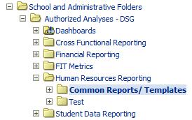 Authorized Analyses- DSG Visit CatalogShared Folders School and Administrative Folders Authorized Analyses- DSG Financial Reporting Common Reports/ Templates for useful ad hoc reports and