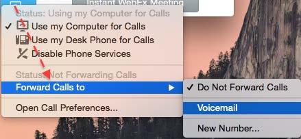To decline the call and divert the caller to your voicemail, click the Decline button. 3. If you answer the call, your video is displayed automatically to the caller if you have set up a web cam.