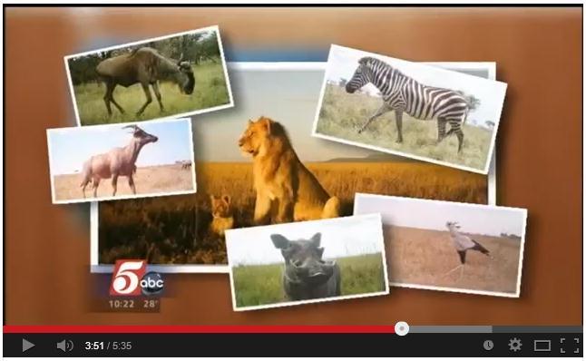 Examples of Application Areas Nature / Ecology Snapshot Serengeti http://www.youtube.com/watch?