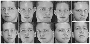 Face sub Images Faces Face Detection Image Normalization Image Compression using DB4 Subbands WKLDP Face ID Normalized Faces Feature Vectors Classification (Euclidean Distance) Figure 4: Architecture